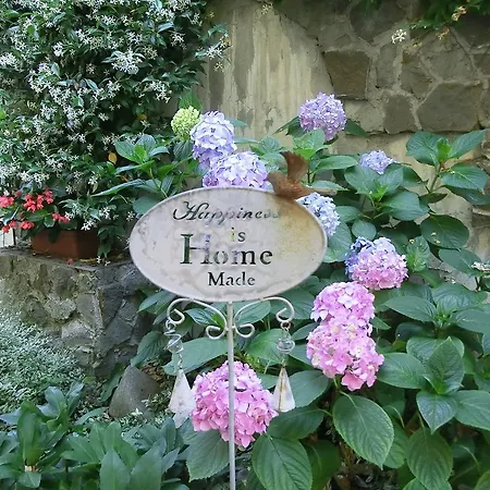 Le Rose